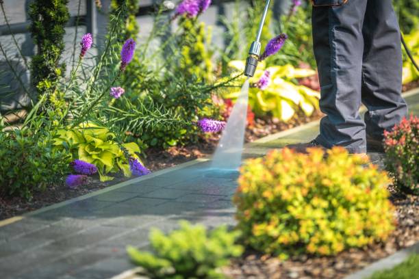 Reliable Santa Fe, NM  Pressure Washing Services Solutions